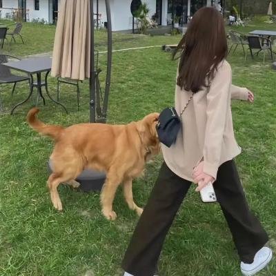 乘风破浪的妻子